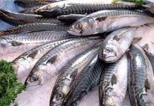 pescado azul