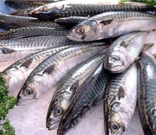 pescado azul