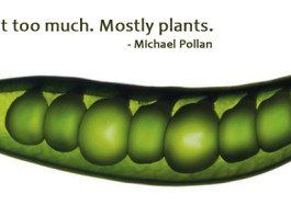 SABER COMER, de Michael Pollan Comer bien michael pollen