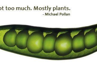 SABER COMER, de Michael Pollan Comer bien michael pollen