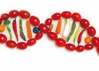 El riesgo del riesgo: relación genética-ambiente en la gestación de conductas de riesgo para la salud (I) obesidad genetica