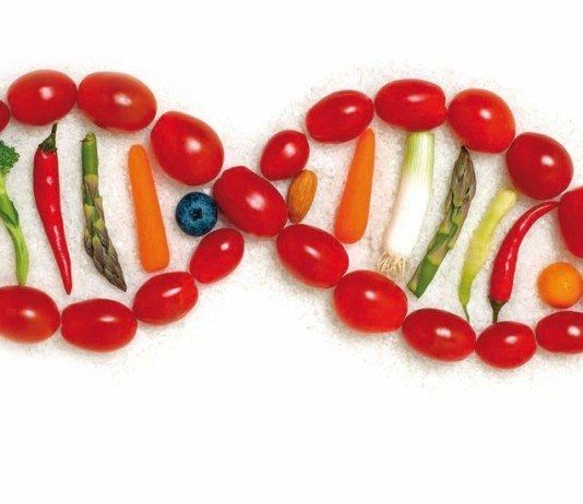 El riesgo del riesgo: relación genética-ambiente en la gestación de conductas de riesgo para la salud (I) obesidad genetica