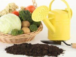 tendencias alimentación