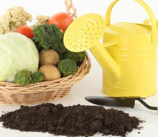 8 tendencias en alimentación saludable para el 2014 tendencias alimentación