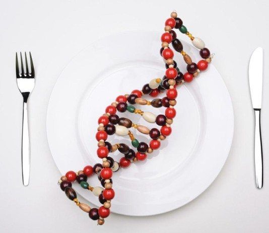 La alimentación del futuro empezó ayer nutrigenetica nutrigenomica