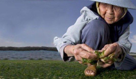 El secreto de una vida centenaria centenarios okinawa