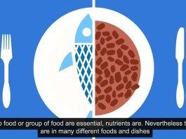 ¿Dieta equilibrada y dieta saludable son sinónimos? dieta equilibrada