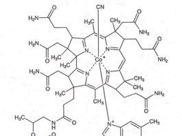 B12: porqué el protocolo clásico no sirve para determinar déficit de B12 en vegetarianos cianocobalamina