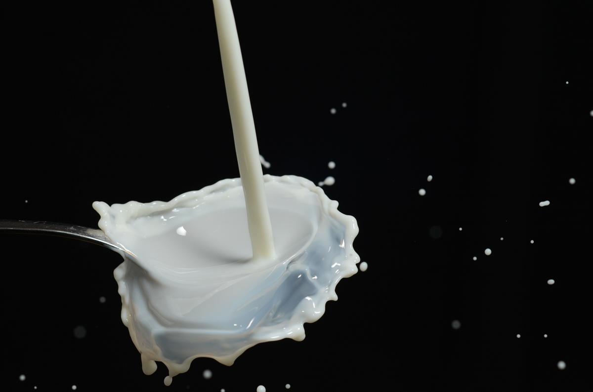 leche de vaca