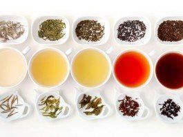 El mundo del té : Beneficia-te beneficios del te