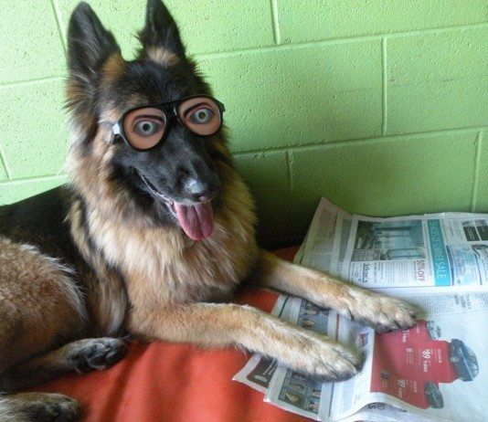 El uso de lentes de contacto está directamente relacionado con la obesidad