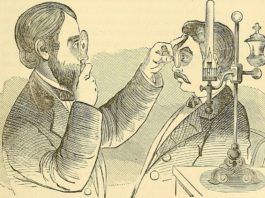 Cómo cuidar nuestra vista con la dieta nutricion y vision