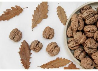 alimentacion cerebro