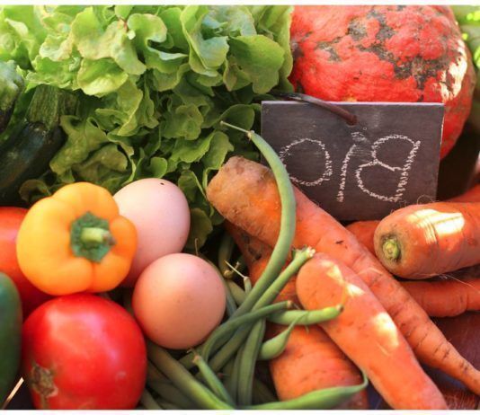 alimentos naturales ecologicos biologicos
