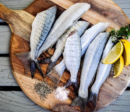 Recomendaciones de consumo de pescado por presencia de mercurio