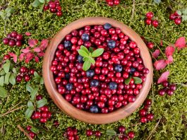 polifenoles y rendimiento deportivo