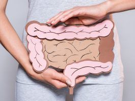 Tu salud intestinal puede afectar a tu salud mental Intestinos de papel