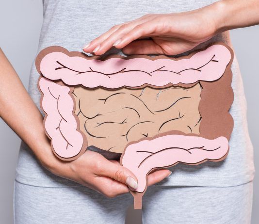Intestinos de papel