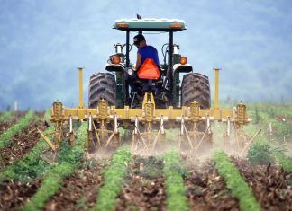 La realidad de los residuos de plaguicidas en alimentos residuos plaguicidas