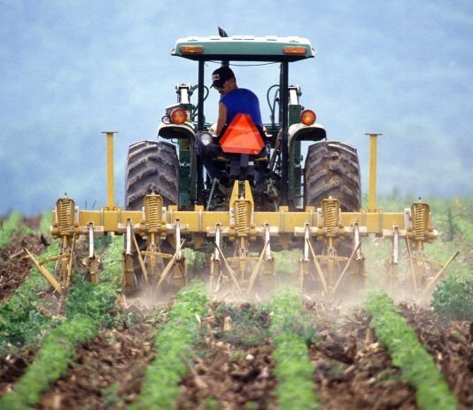 La realidad de los residuos de plaguicidas en alimentos residuos plaguicidas