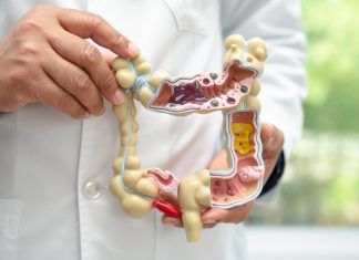 salud digestiva